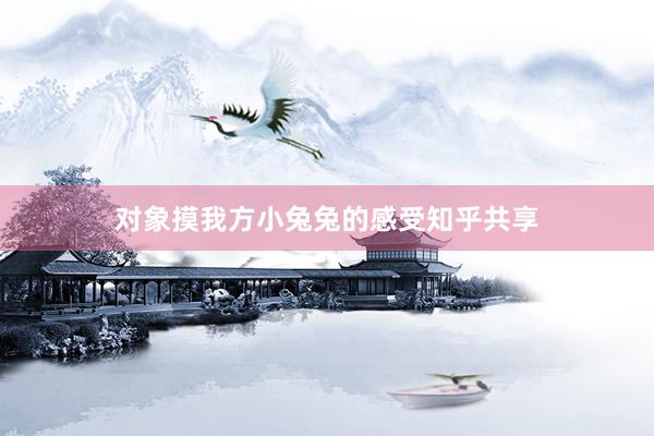 对象摸我方小兔兔的感受知乎共享