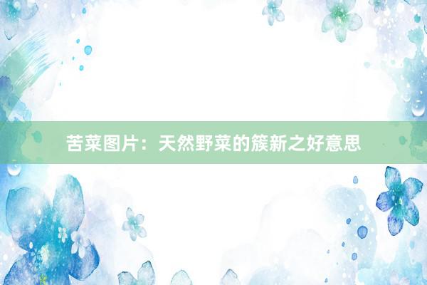 苦菜图片：天然野菜的簇新之好意思