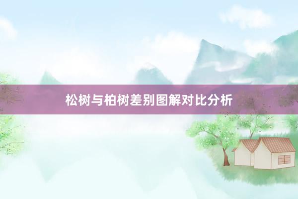 松树与柏树差别图解对比分析