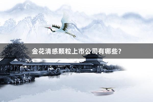 金花清感颗粒上市公司有哪些？