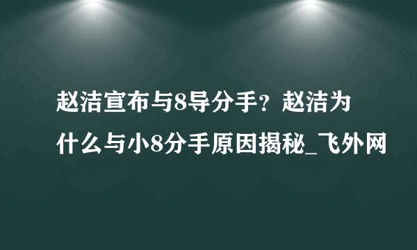 赵洁宣布与8导分手？赵洁为什么与小8分手原因揭秘_飞外网