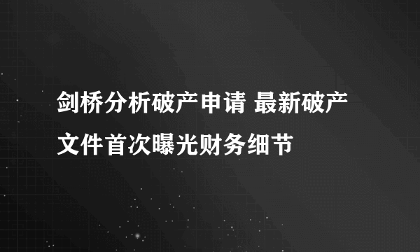 剑桥分析破产申请 最新破产文件首次曝光财务细节