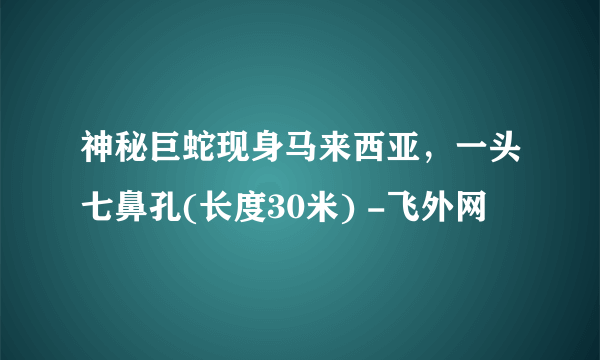 神秘巨蛇现身马来西亚，一头七鼻孔(长度30米) -飞外网