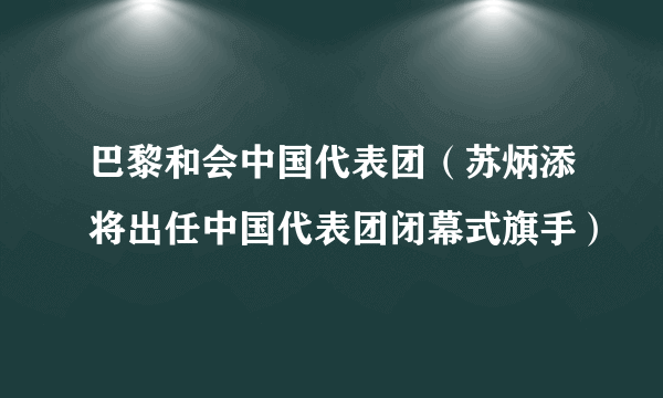 巴黎和会中国代表团（苏炳添将出任中国代表团闭幕式旗手）