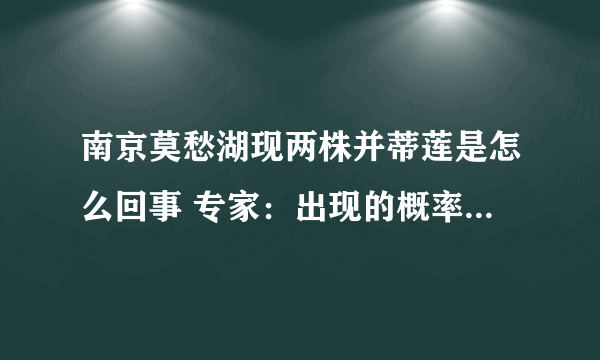 南京莫愁湖现两株并蒂莲是怎么回事 专家：出现的概率为十万分之一