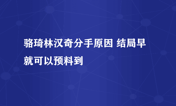 骆琦林汉奇分手原因 结局早就可以预料到