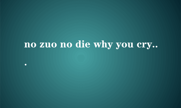 no zuo no die why you cry 的下一句是什么，求多版本