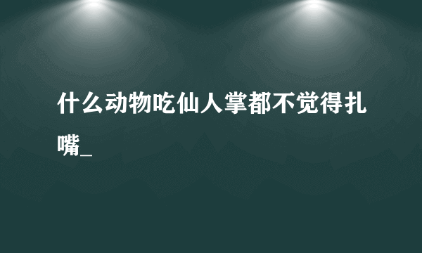 什么动物吃仙人掌都不觉得扎嘴_