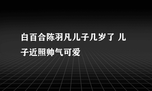 白百合陈羽凡儿子几岁了 儿子近照帅气可爱