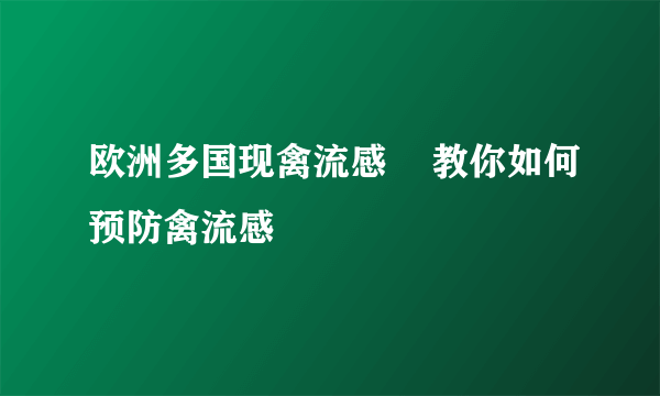 欧洲多国现禽流感    教你如何预防禽流感