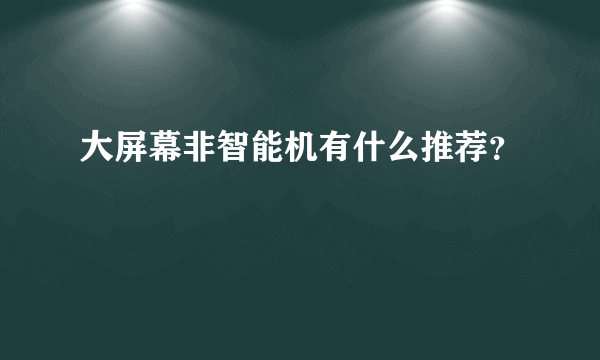 大屏幕非智能机有什么推荐？