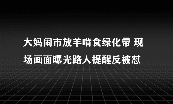 大妈闹市放羊啃食绿化带 现场画面曝光路人提醒反被怼