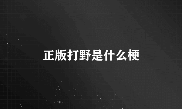 正版打野是什么梗