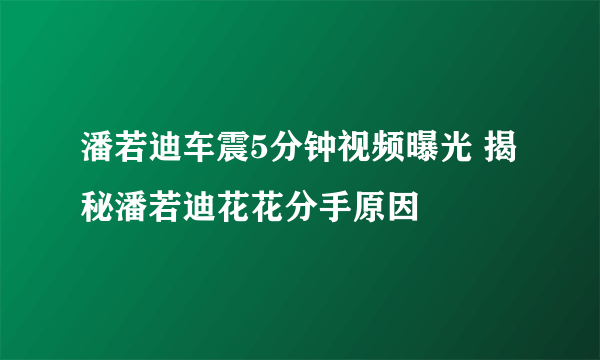 潘若迪车震5分钟视频曝光 揭秘潘若迪花花分手原因