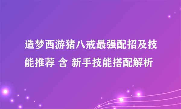 造梦西游猪八戒最强配招及技能推荐 含 新手技能搭配解析