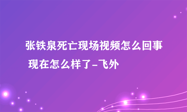 张铁泉死亡现场视频怎么回事 现在怎么样了-飞外