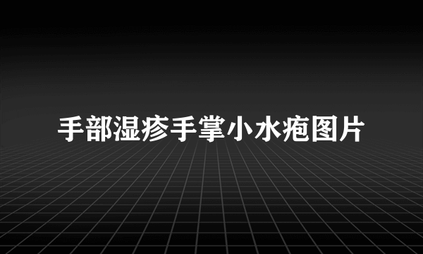 手部湿疹手掌小水疱图片