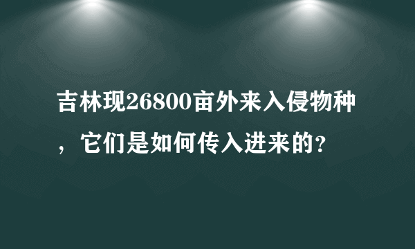 吉林现26800亩外来入侵物种，它们是如何传入进来的？