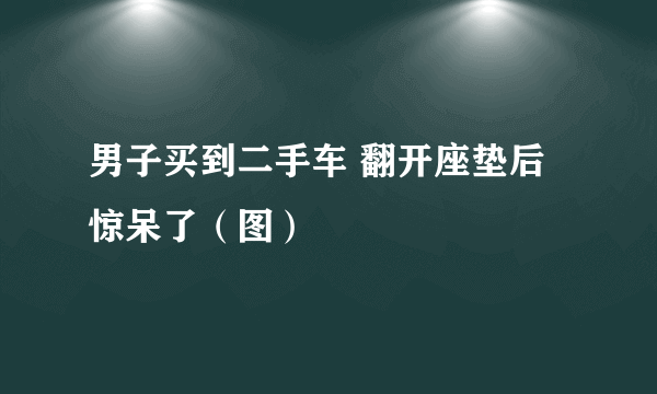 男子买到二手车 翻开座垫后惊呆了（图）