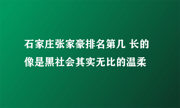 石家庄张家豪排名第几 长的像是黑社会其实无比的温柔