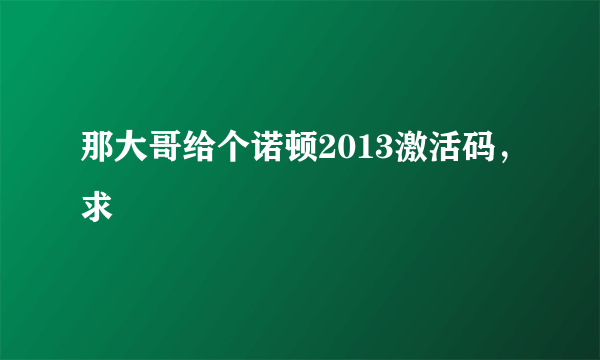 那大哥给个诺顿2013激活码，求