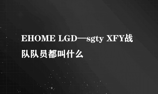 EHOME LGD—sgty XFY战队队员都叫什么