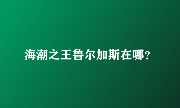 海潮之王鲁尔加斯在哪？