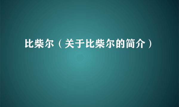 比柴尔（关于比柴尔的简介）