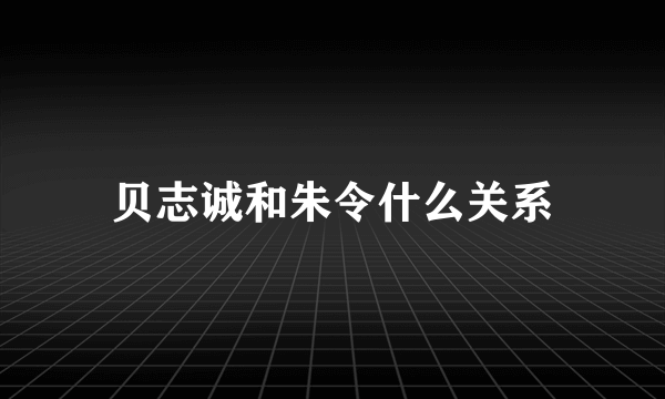 贝志诚和朱令什么关系