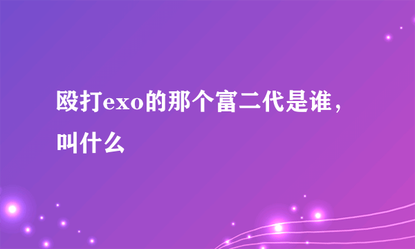 殴打exo的那个富二代是谁，叫什么