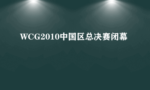 WCG2010中国区总决赛闭幕