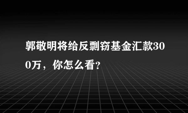 郭敬明将给反剽窃基金汇款300万，你怎么看？