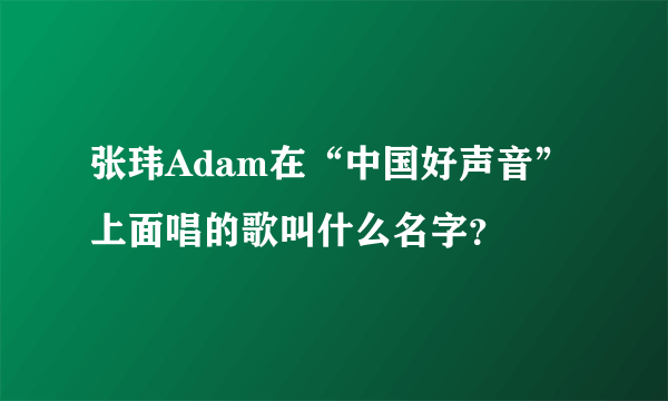 张玮Adam在“中国好声音”上面唱的歌叫什么名字？