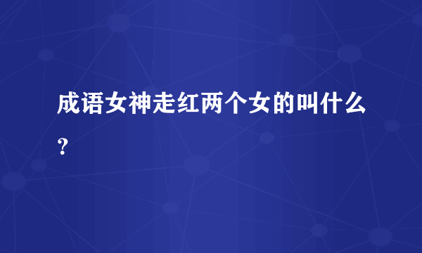 成语女神走红两个女的叫什么？