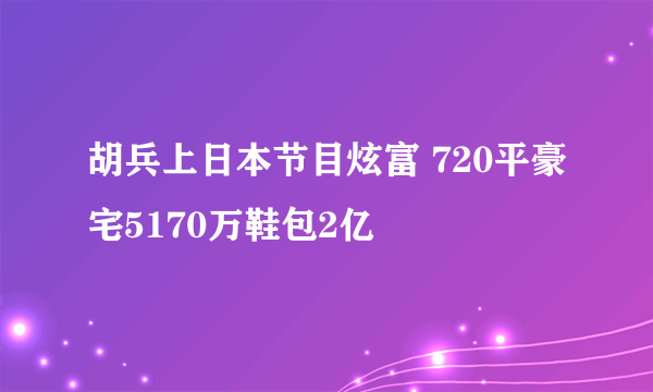 胡兵上日本节目炫富 720平豪宅5170万鞋包2亿