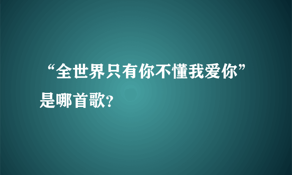 “全世界只有你不懂我爱你”是哪首歌？