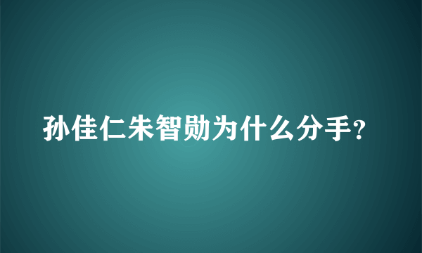 孙佳仁朱智勋为什么分手？