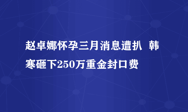 赵卓娜怀孕三月消息遭扒  韩寒砸下250万重金封口费