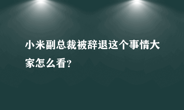 小米副总裁被辞退这个事情大家怎么看？