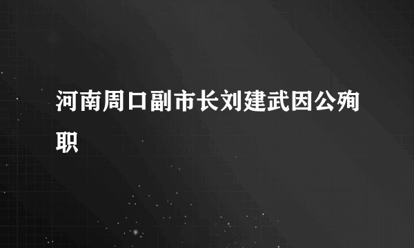 河南周口副市长刘建武因公殉职