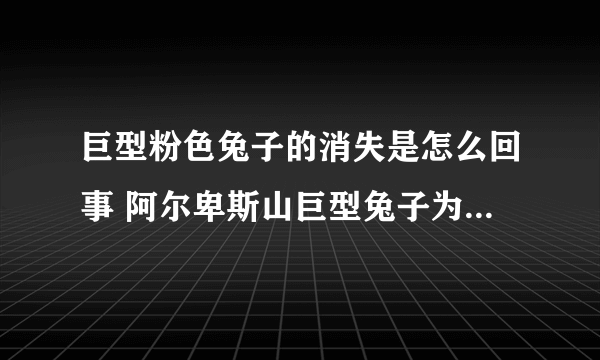 巨型粉色兔子的消失是怎么回事 阿尔卑斯山巨型兔子为什么会消失