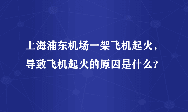 上海浦东机场一架飞机起火，导致飞机起火的原因是什么?