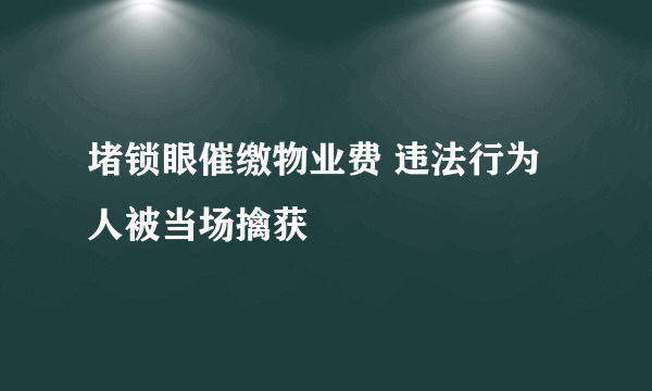 堵锁眼催缴物业费 违法行为人被当场擒获