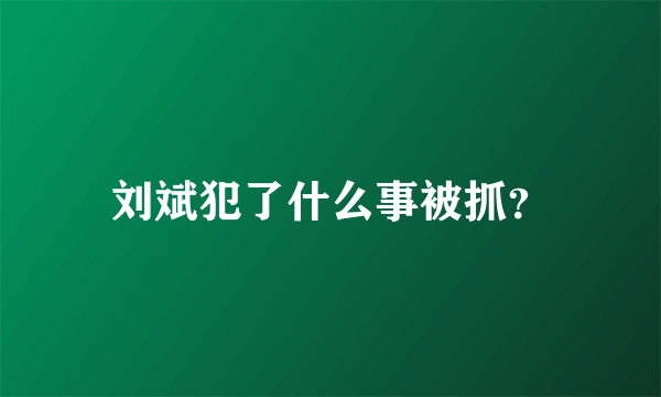 刘斌犯了什么事被抓？