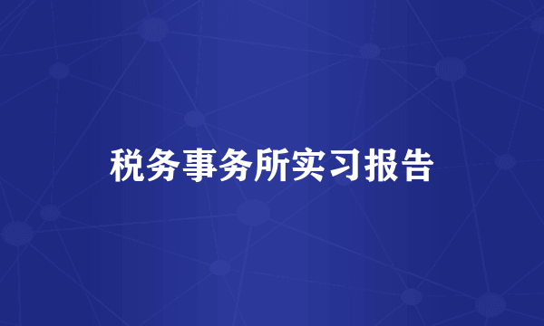 税务事务所实习报告