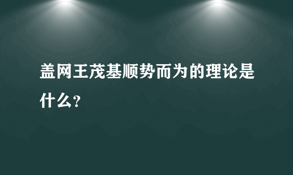 盖网王茂基顺势而为的理论是什么？