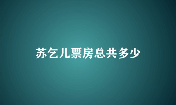 苏乞儿票房总共多少