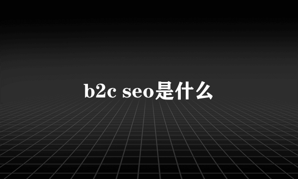 b2c seo是什么