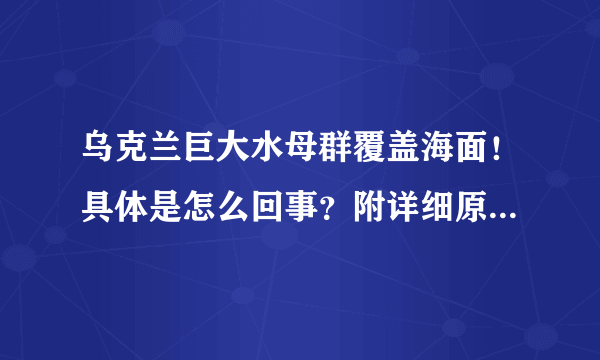 乌克兰巨大水母群覆盖海面！具体是怎么回事？附详细原因！ - 飞外网