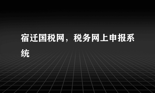 宿迁国税网，税务网上申报系统